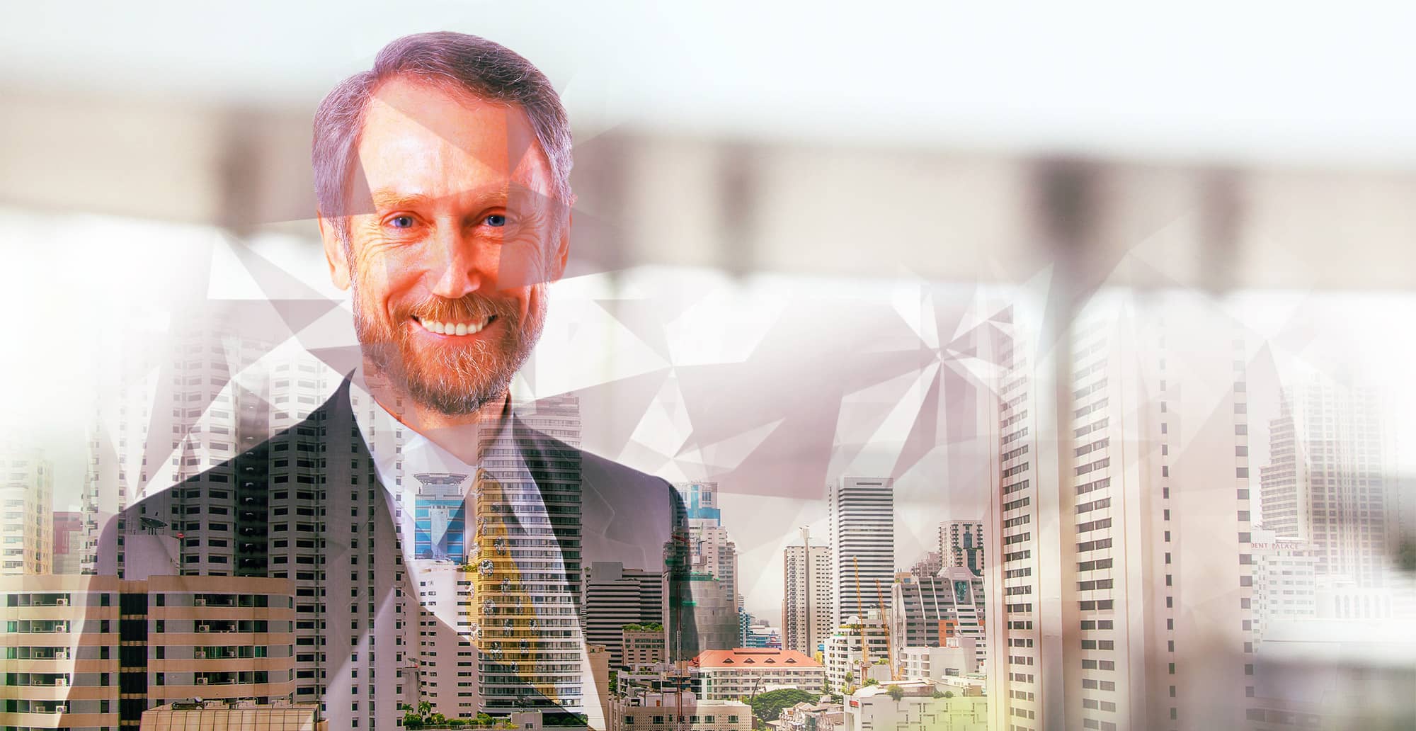 Provides Professional Services